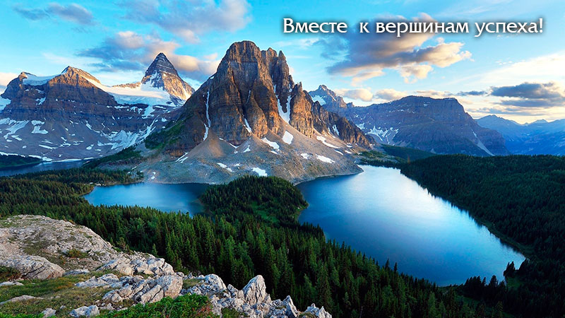 Ваш дистрибьютор Колор Компания Колор эксклюзивный дистрибьютор